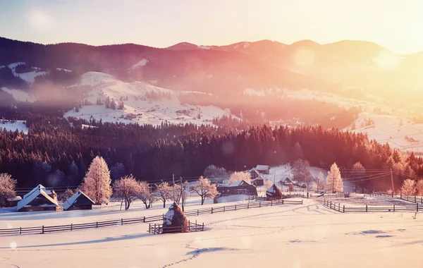 Geheimnisvolle Winterlandschaft Majestätische Berge Winter Magischen Winter Schneebedeckten Baum Foto — Stockfoto