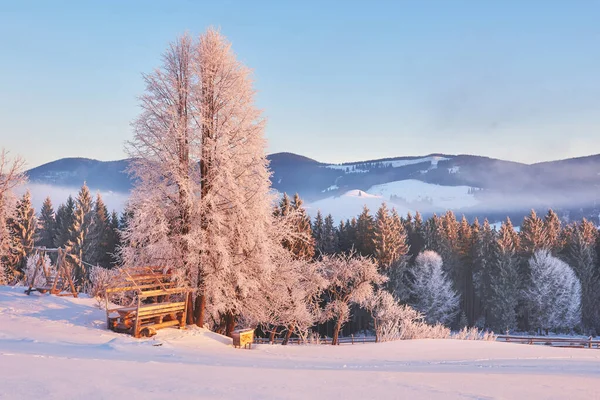 Ruim Winterlandschap Bergen Winter Wenskaart Karpaten Oekraïne Europa — Stockfoto