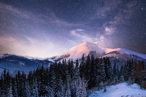 Varázslatos Téli Borította Téli Táj Vibráló Éjszakai Égbolt Csillagokkal Ködökkel — Stock Fotó