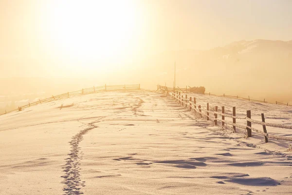 Estrada Inverno Cena Dramática Cárpatos Ucrânia Europa — Fotografia de Stock