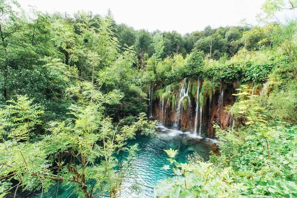 Plitvice Horvátország Nemzeti Parkban Készített Fénykép Tóban Úszó Halakról — Stock Fotó