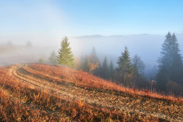 Fairy Zonsopgang Het Bergbos Landschap Ochtend Mist Boven Het Majestueuze — Stockfoto