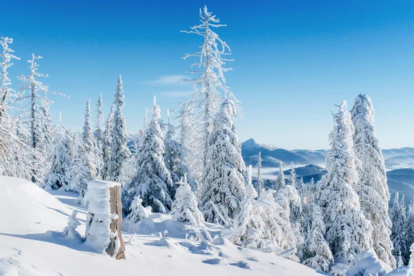 Fantastico Paesaggio Invernale Tramonto Magico Montagna Una Giornata Gelida Alla — Foto Stock