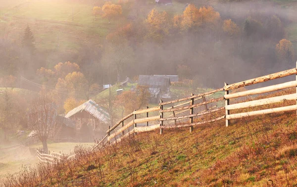 Majestatyczny Krajobraz Jesiennymi Drzewami Mglistym Lesie Karpaty Ukraina Europa Świat — Zdjęcie stockowe
