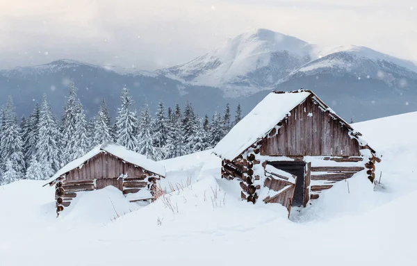 Cabaña Las Montañas Invierno Niebla Misteriosa Previsión Las Vacaciones Cárpatos — Foto de Stock
