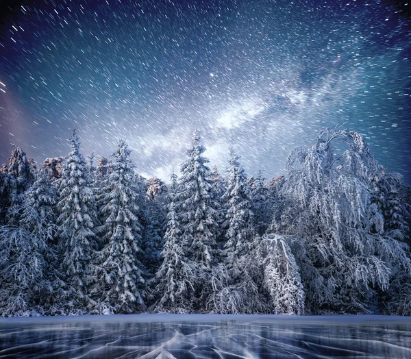 Sihirli Kış Karla Kaplı Ağaç Kış Manzarası Yıldızlar Nebula Galaksiyle — Stok fotoğraf