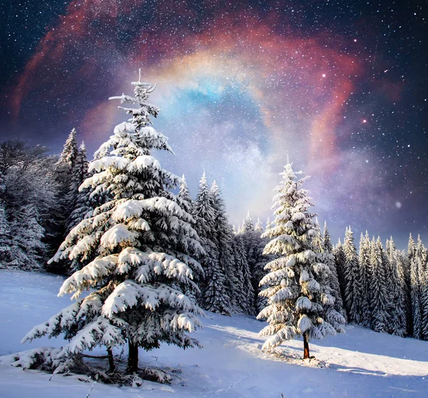 Arbre Magique Couvert Neige Hiver Paysage Hivernal Ciel Nocturne Vibrant — Photo