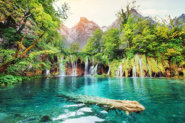 Una Foto Peces Nadando Lago Tomada Parque Nacional Plitvice Croacia —  Fotos de Stock