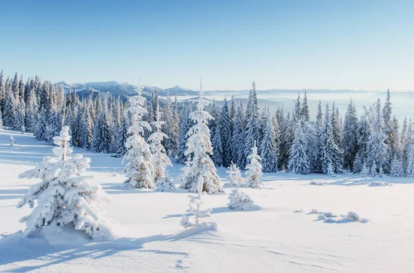 Fantastico Paesaggio Invernale Tramonto Magico Montagna Una Giornata Gelida Alla — Foto Stock