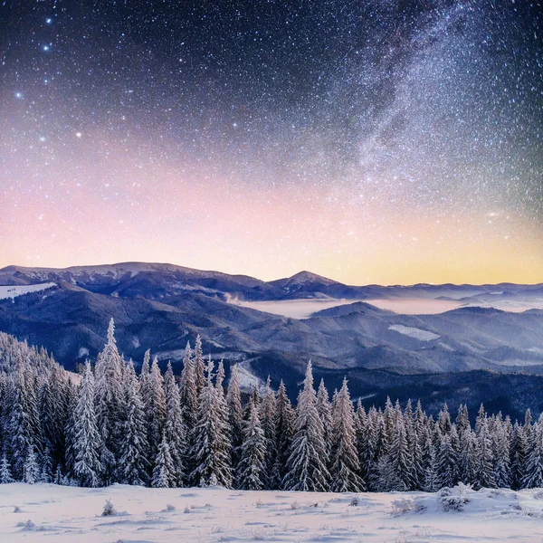 Cielo Stellato Nella Notte Nevosa Invernale Fantastica Lattea Capodanno Previsione — Foto Stock