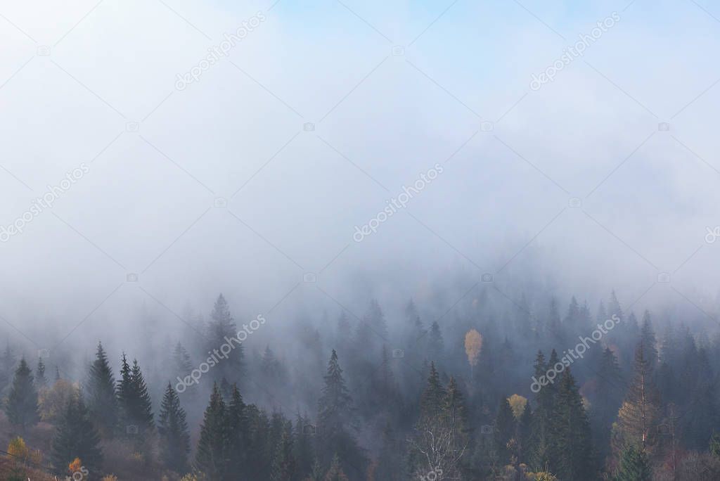 Beautiful morning fog and sunbeams on the mountain slope in the autumn pine forest.