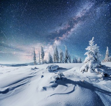 Kış ormanda süt uzay yolu. Dramatik ve güzel sahne. Tatil beklentisiyle. Karpat, Ukrayna, Europe