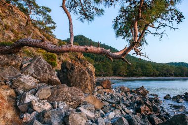 Akdeniz 'in mavi dalgası Akdeniz' de, Türk kıyılarında. Türkiye