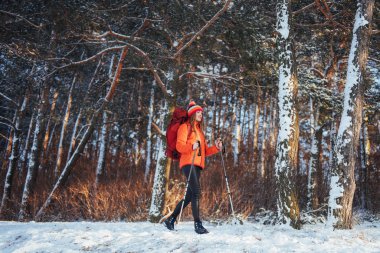 Sırt çantalı bir gezgin. Seyahat tarzı macera konsepti. Açık havada aktif tatiller. Kozalaklı ağaçlar ve beyaz karla kaplı güzel bir manzara..