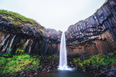 Svartifoss şelalesinin manzarası harika. Dramatik ve resimli bir sahne. Popüler turist eğlencesi. İzlanda, Avrupa