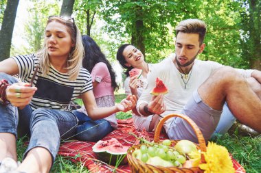 Güneşli bir günde parkta piknik yapan bir grup arkadaş insanlar mangal yaparken eğleniyor ve dinleniyorlar..