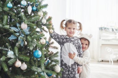 Mutlu Noeller ve mutlu tatiller! Genç kızlar Noel ağacını süslemeye yardım ediyorlar, ellerinde bazı Noel mücevherleri tutuyorlar..