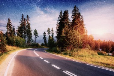 Asfalt yol ve yalnız ağaç altında bir yıldızlı gece gökyüzü ve Samanyolu.