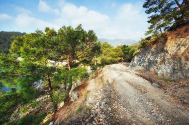 Deniz kıyısındaki panoramik manzara. Güzellik dünyası. Hindi. Güzellik dünyası