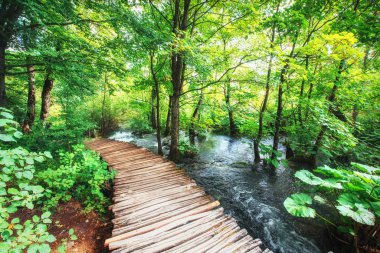 Ahşap döşeme üzerinde mavi su. Plitvice Gölleri, Hırvatistan