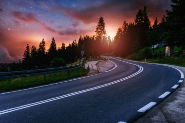 Asfalt yol ve yalnız ağaç altında bir yıldızlı gece gökyüzü ve Samanyolu.