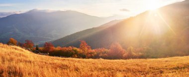 Yayla bitki örtüsü mütevazı yaz ve sonbahar soğuk hava önce alışılmadık derecede güzel renkler kütükler. Yaban mersini parlak kırmızı, iğne yapraklı orman yeşil, turuncu buk-dağlar sinie-fantastik çekicilik.