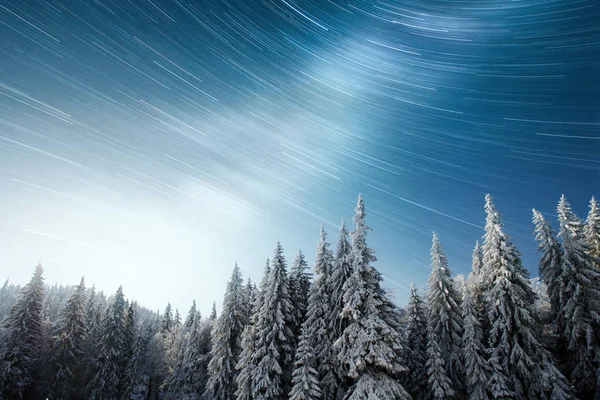 Magische Winter Besneeuwde Boom Winterlandschap Levendige Nachtelijke Hemel Met Sterren — Stockfoto