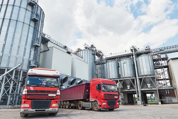 Silo Agrícola Edificio Exterior Almacenamiento Secado Granos Trigo Maíz Soja — Foto de Stock