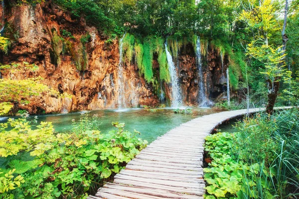 Cascades Dans Parc National Tombant Dans Lac Turquoise Plitvice Croatie — Photo
