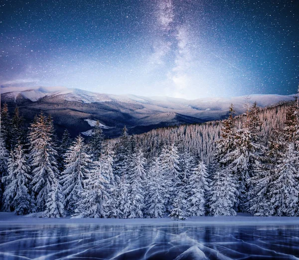 Magische Winter Besneeuwde Boom Winterlandschap Levendige Nachtelijke Hemel Met Sterren — Stockfoto