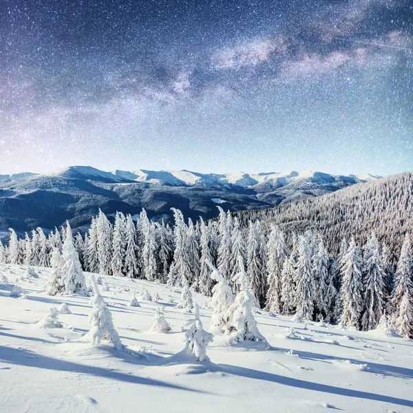 Cielo Stellato Nella Notte Nevosa Invernale Fantastica Lattea Capodanno Previsione — Foto Stock