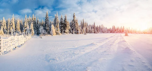 Fantastisch Winterlandschap Weg Iets Dat Naar Bergen Leidt Ijzige Zonnige — Stockfoto