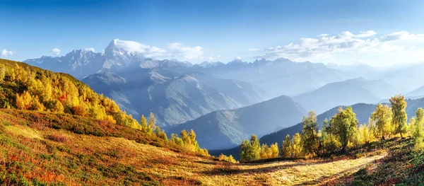 Fantastický Les Karpatské Ukrajině Údolích Přichází Zlatý Podzim Červená Barva — Stock fotografie