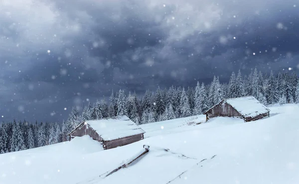 Cabaña Las Montañas Invierno Niebla Misteriosa Previsión Las Vacaciones Cárpatos — Foto de Stock