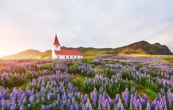 Prachtig Uitzicht Vikurkirkja Christelijke Kerk Het Avondlicht Dramatische Pittoreske Scène — Stockfoto