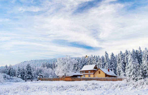 Winterlandschap Met Sneeuw Bergen Karpaten Oekraïne — Stockfoto