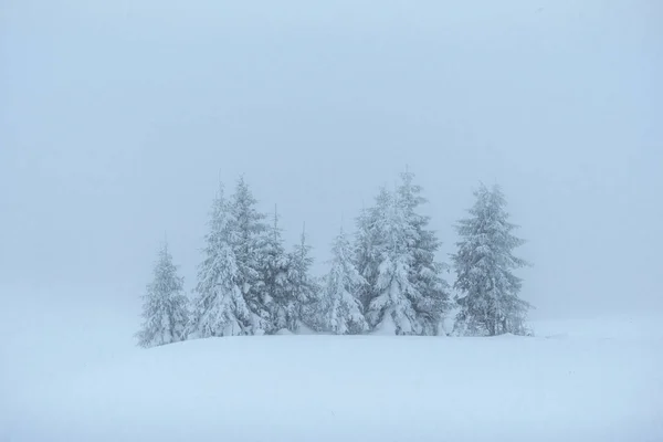 Fantastyczne Zimowy Krajobraz Przeddzień Święta Dramatyczne Sceny Podkarpacie Polska Europa — Zdjęcie stockowe