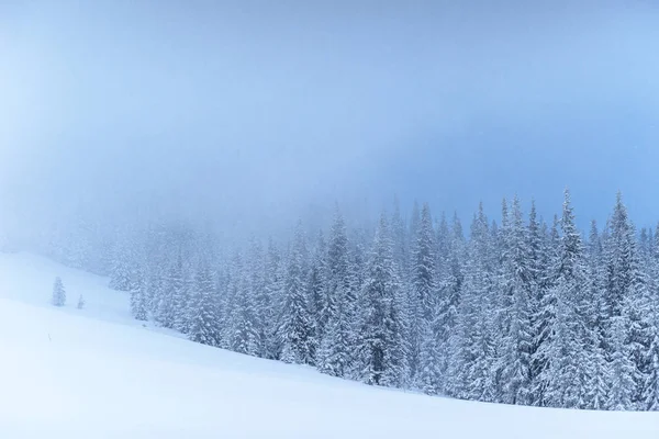 Paysage Hivernal Fantastique Veille Des Vacances Scène Dramatique Carpates Ukraine — Photo