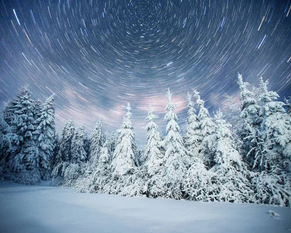 Sterrenhemel Besneeuwde Winternacht Fantastische Melkweg New Year Eve Afwachting Van — Stockfoto