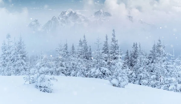 Fantastická Zimní Krajina Předvečer Svátku Dramatické Scény Karpaty Ukrajina Evropa — Stock fotografie