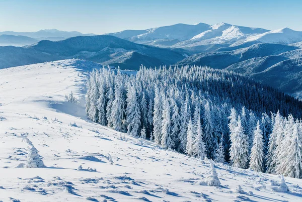 幻想的な冬の風景です 冷ややかな一日山に夕日 休日の前夜 劇的なシーン カルパチア ウクライナ ヨーロッパ 明けましておめでとう — ストック写真