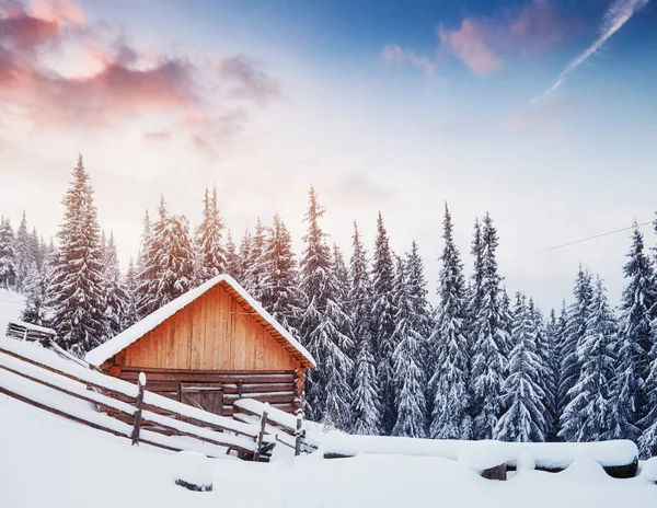 Gemütliche Holzhütte Hoch Oben Den Verschneiten Bergen Tolle Kiefern Hintergrund — Stockfoto