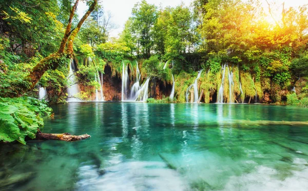Waterfalls in national park falling into turquoise lake. Plitvice Croatia