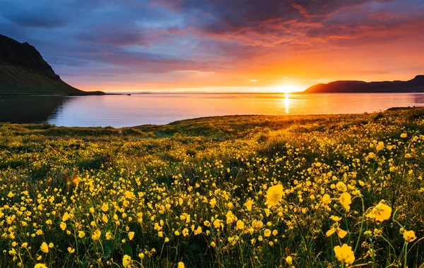 Den Malerischen Sonnenuntergang Über Landschaften Und Wasserfällen Kirkjufell Mountain Island — Stockfoto