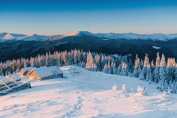 神秘的冬季风景 冬天雄伟的群山 神奇的冬雪覆盖了树木 山中的冬季道路 为了迎接假期 戏剧化的冬季场景 喀尔巴阡山 乌克兰 — 图库照片