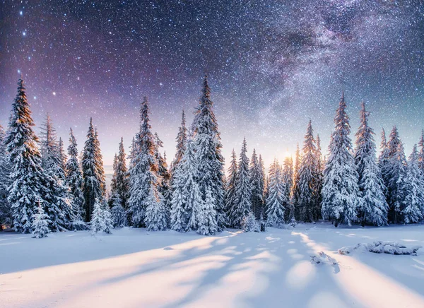 Dairy Star Trek Nos Bosques Inverno Paisagem Inverno Misteriosa Montanhas — Fotografia de Stock