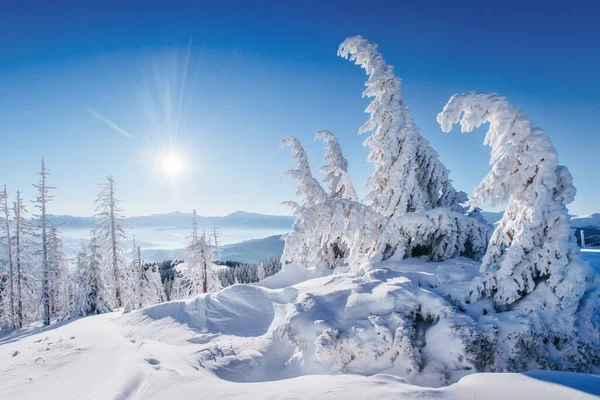 Fantastische Winterlandschap Magische Zonsondergang Bergen Een Ijzig Dag Aan Vooravond — Stockfoto