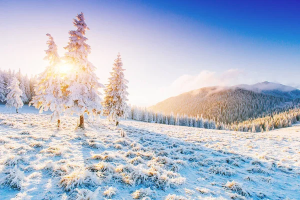 Fantastická Zimní Krajina Magický Západ Slunce Horách Mrazivý Den Předvečer — Stock fotografie