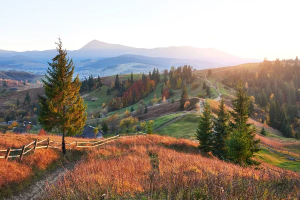 Verbazingwekkende Herfst Ochtend Landschap Bergen Met Weide Kleurrijke Bomen Voorgrond — Stockfoto