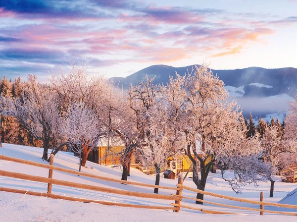 Amazing Mountains Morning Sunlight Small Cozy Village Carpathian Ukraine Europe — Stock Photo, Image